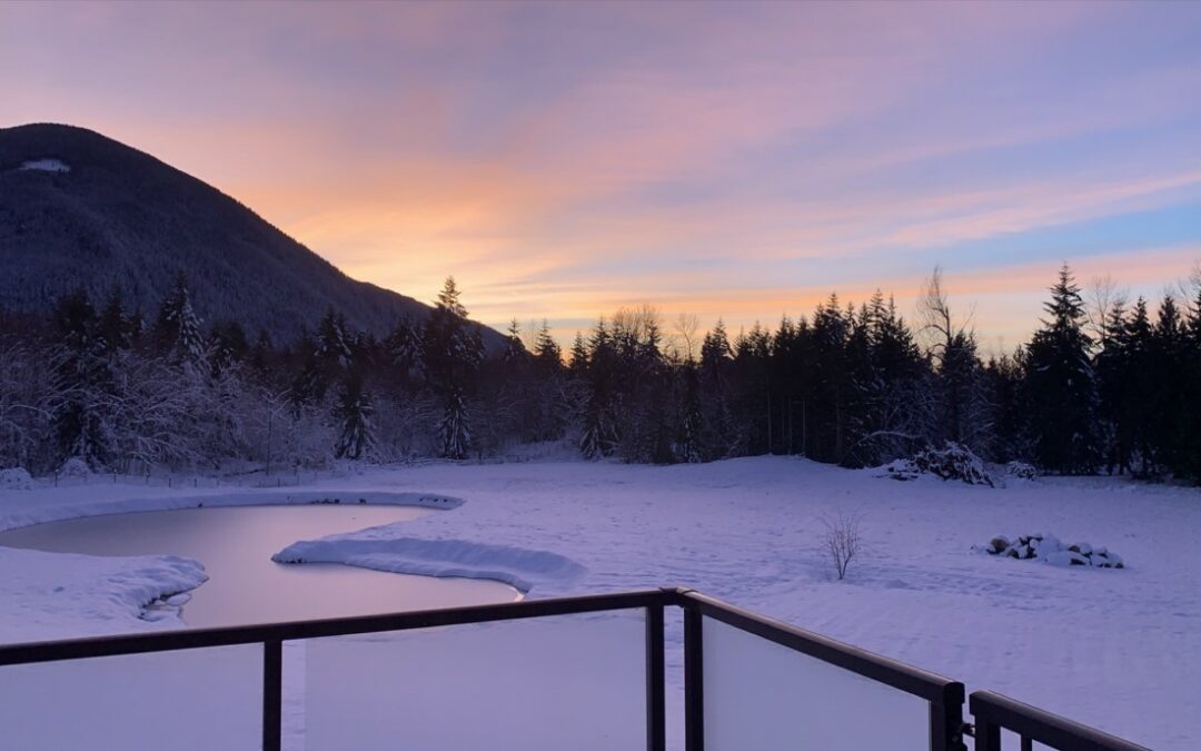 Top 5 Reasons to Choose Sante Mountain for Your Wellness Getaway