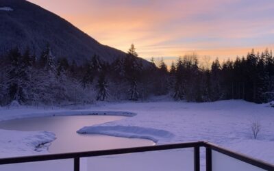 Top 5 Reasons to Choose Sante Mountain for Your Wellness Getaway