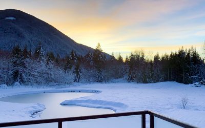 Corporate Events – Ideal for Team-Building & Meetings